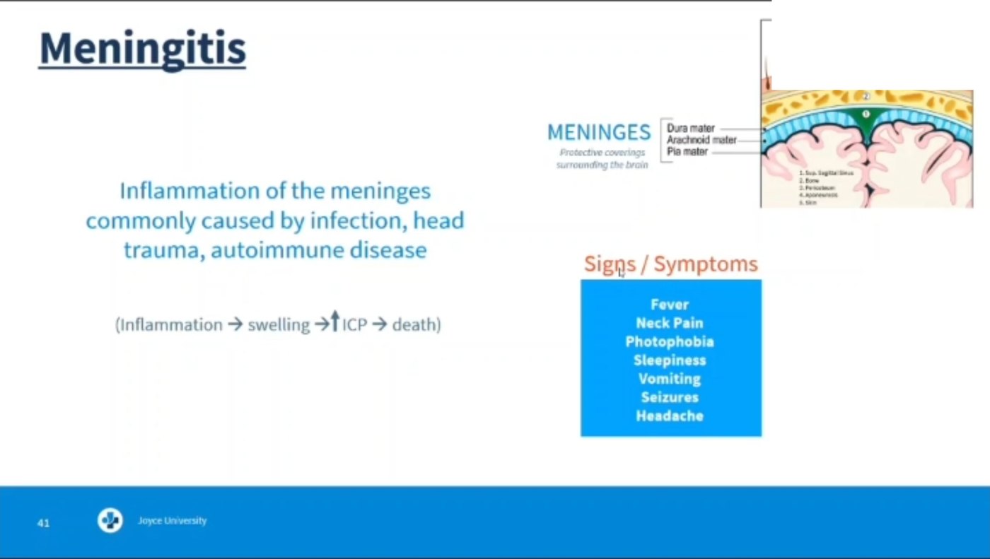 Lecture slide on meningitis: inflammation of the meninges from infection, head trauma or autoimmune disease, with a cross-section of the dura mater, arachnoid mater and pia mater, and a symptom list of fever, neck pain, photophobia, sleepiness, vomiting, seizures and headache.
